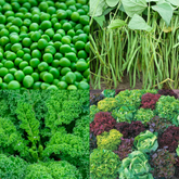 picture of vegetables included in the vegetable pack photo 1